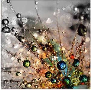 Artland Glasbild »Farbenfrohe Natur«