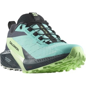 Salomon, Salomon Damen Sense Ride 5 GTX Schuhe, Sense Ride 5 GTX Trailrunningschuhe