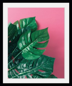 QUEENCE, queence Bild »Human Nature«, queence Bild »Human Nature«, Blätter-Pflanzen-Pflanzenbilder, (1 St.), HD Premium Poster-Druck inkl. Holzrahmen