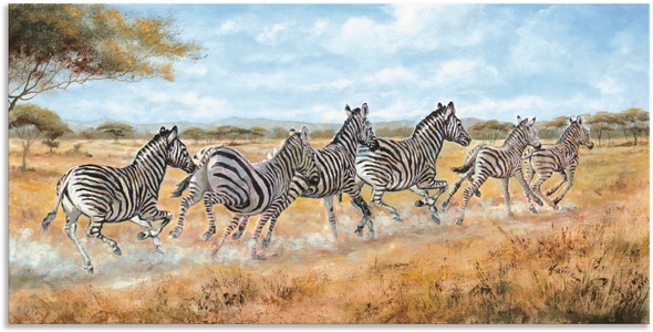 Artland, Artland Wandbild »Laufende Zebras«, Artland Alu-Dibond-Druck »Laufende Zebras«, Wildtiere, (1 St.), für Innen- und Aussenbereich geeignet, Outdoorbild