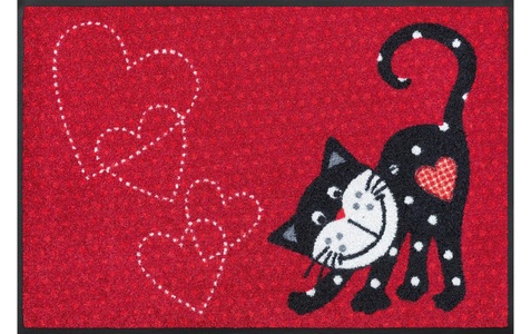 wash+dry by Kleen-Tex, Fussmatte, wash+dry by Kleen-Tex Fussmatte »Romeo in Love 50«, quadratisch, - mm Höhe