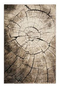WECON HOME, Teppich, »Wild Oak«, Wecon Home, rechteckig, Höhe 13 mm, Wecon home Teppich »Wild Oak«, rechteckig, 13 mm Höhe, Holz Optik, Wohnzimmer