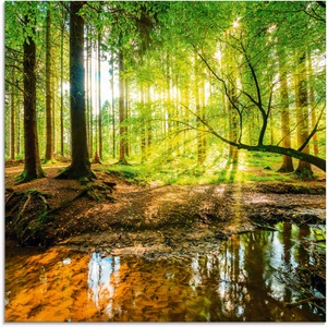 Artland Glasbild »Wald mit Bach«