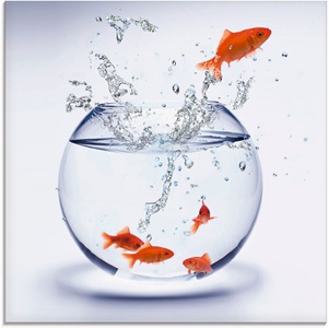 Artland Glasbild »Goldfarbenfischaquarium«
