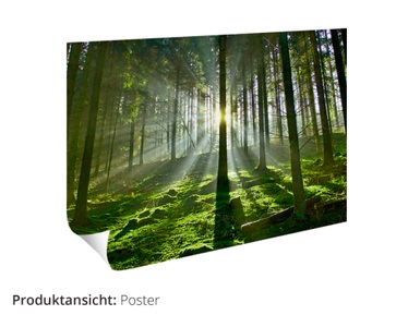 Artland, Artland Wandbild »Fotocollage von 32 bunten Haustüren«, Artland Wandbild »Fotocollage von 32 bunten Haustüren«, Fenster & Türen, als Alubild, Leinwandbild, Wandaufkleber oder Poster in versch. Grössen