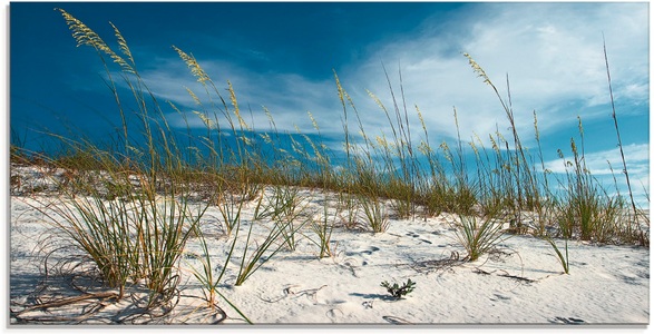 Artland Glasbild »Sanddüne und Gräser«