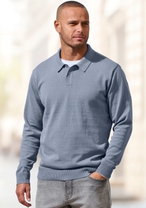 H.I.S Strickpullover mit Polokragen und kleiner Knopfleiste, pflegeleichte Baumwollmischung