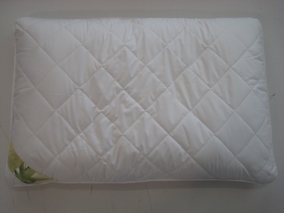 undefined, Microfaser-Kissen/Pfulmen »Aloe Vera«, Kyburz Microfaserkissen »Aloe Vera«, Füllung: Versteppte Hülle, Microfaser - 100% Polyester, Bezug: 100% Polyester - Klimafaser, (1 St.)