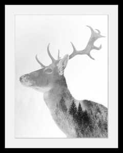 undefined, Bild »Hirsch«, queence Bild »Hirsch«, Hirsch-Tiere-Wildtiere-Hirschbilder-Wald-Waldbilder-Schwarz-Weiss, HD Premium Poster-Druck inkl. Holzrahmen