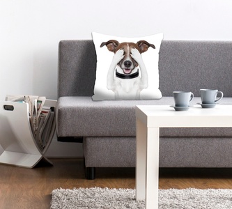 queence Dekokissen »Paul«, (1 St.), mit einem augenzuhaltenden Hund