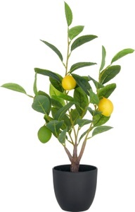 Creativ green, Creativ green Kunstbaum »Zitrone« mit detailgetreuer Gestaltung, Creativ green Kunstbaum »Zitrone« mit detailgetreuer Gestaltung