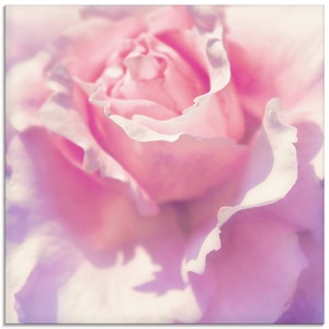 Artland Glasbild »Rosa«
