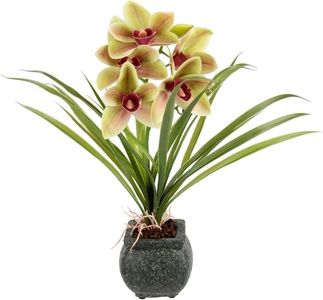 MY HOME, my home Kunstblume »Orchidee«, Mit Blätter im Topf aus Zement Künstliche Blume Cymbidium-Orchidee, my home Kunstblume »Orchidee«, Mit Blätter im Topf aus Zement Künstliche Blume Cymbidium-Orchidee