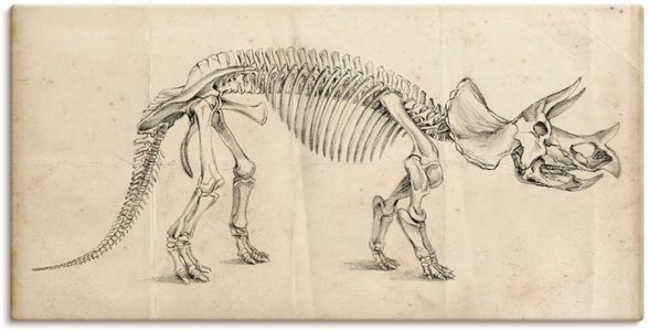 Artland, Artland Wandbild »Dinosauria Lehre II«, Artland Wandbild »Dinosauria Lehre II«, Dinosaurier, (1 St.), als Alubild, Outdoorbild, Poster in verschied. Grössen