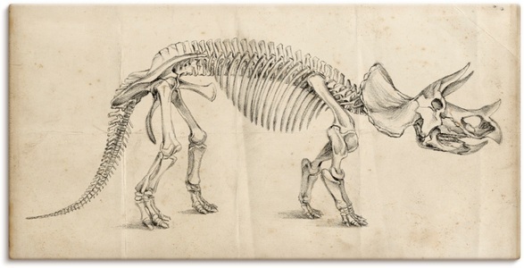 Artland, Artland Wandbild »Dinosauria Lehre II«, Artland Wandbild »Dinosauria Lehre II«, Dinosaurier, (1 St.), als Alubild, Outdoorbild, Poster in verschied. Grössen