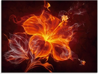 Artland Glasbild »Feuerblume«