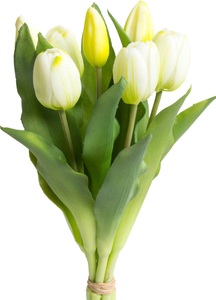 DELAVITA, DELAVITA Kunstblume »Willa«, (Set, 7 St.), Tulpenbündel im 7er-Set, Botanic-Haus Kunstblume »Willa«, Tulpenbündel im 7er-Set