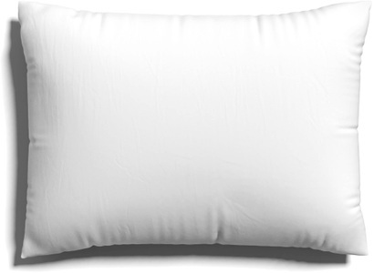 Schlafgut, Schlafgut Kissenbezug »EASY Jersey, 100% Baumwolle, u.a. in Gr. 40x40, 40x80 oder 80x80 cm«, (1 St.), Kissenhülle mit Reissverschluss, weich und saugfähig, Kissenbezug, Schlafgut Kissenbezug »EASY Jersey«, (1 St.), Kissenhülle mit Reissverschluss, weich und saugfähig, Kissenbezug