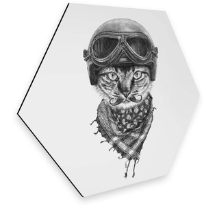 Wall-Art, Wall-Art Metallbild »Biker Katze Wanddeko Katzenbild«, Wall-Art Metallbild »Biker Katze Wanddeko Katzenbild«, (1 St.), vintage Metallschild