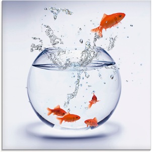 Artland Glasbild »Goldfarbenfischaquarium«