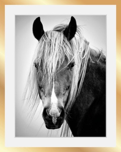 undefined, Bild »Pferdekopf«, queence Bild »Pferdekopf«, Schwarz-Weiss-Tiere-Pferde-Pferdebilder-Gesicht, HD Premium Poster-Druck inkl. Holzrahmen in schwarz