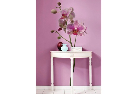 Komar, KOMAR Wandtattoo »Orchidee«, Komar Wandtattoo »Orchidee - Grösse 100 x 70 cm«, selbstklebend, Wandsticker