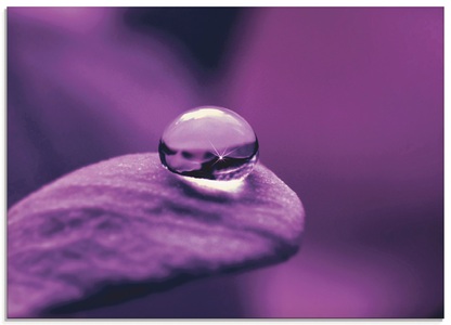 Artland Glasbild »Amethyst«