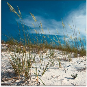 Artland Glasbild »Sanddüne und Gräser«
