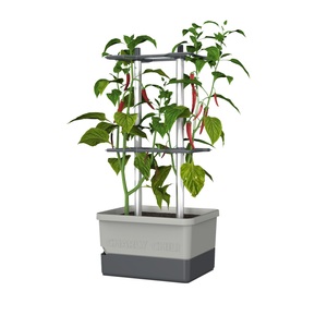 undefined, Pflanzkübel »Charly Chili«, Gusta Garden Anzuchttopf »hellgrau«, (1 St.)