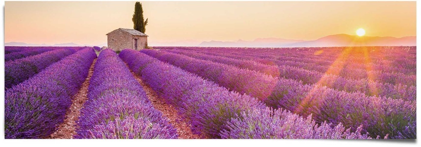 Reinders!, Reinders! Poster »Lavendel Horizont«, (1 St.), Reinders! Poster »Lavendel Horizont«, (1 St.)