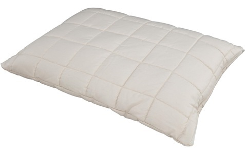 Albis, Albis - Kopfkissen CANNATUR-BIO KISSEN - off-white - Biobaumwolle - 50/70 cm, Albis Switzerland Naturfaserkissen, (1 St.)