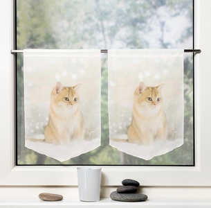 HOME WOHNIDEEN, HOME WOHNIDEEN Vorhang »SWEETY«, Fensterbilder Voile digital bedruckt, HOME WOHNIDEEN Vorhang »SWEETY«, (2 St.), Fensterbilder Voile digital bedruckt