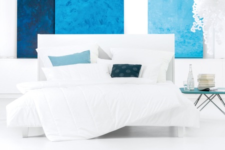 undefined, Centa-Star Leichtsteppbett AllergoProtect, 