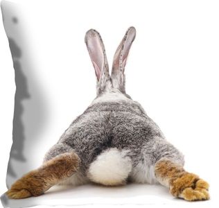 queence Dekokissen »Rabbit Tail«, (1 St.), mit einem Hasenschwanz