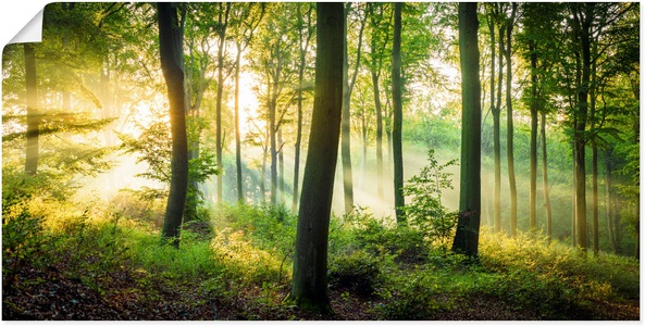 Artland, Artland Wandbild »Herbst im Wald II«, Waldbilder, (1 St.), in vielen Grössen & Produktarten - Alubild / Outdoorbild für den Aussenbereich, Leinwandbild, Poster, Wandaufkleber / Wandtattoo auch für Badezimmer geeignet, Artland Wandbild »Herbst im Wald II«, Waldbilder, (1 St.), als Alubild, Outdoorbild, Leinwandbild, Poster, Wandaufkleber