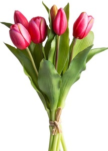 DELAVITA, DELAVITA Kunstblume »Willa«, (Set, 7 St.), Tulpenbündel im 7er-Set, Botanic-Haus Kunstblume »Willa«, Tulpenbündel im 7er-Set