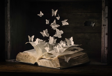 Papermoon, Papermoon Fototapete »Photo-Art HEATHER BONADIO, LEPIDOPTEROLOGIE«, Vliestapete, hochwertiger Digitaldruck, inklusive Kleister, Papermoon Fototapete »Photo-Art HEATHER BONADIO, LEPIDOPTEROLOGIE«