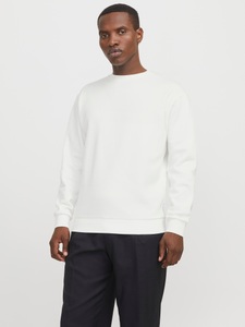 Jack & Jones Sweatshirt »JJEBRADLEY SWEAT CREW NOOS«, mit Rippbündchen