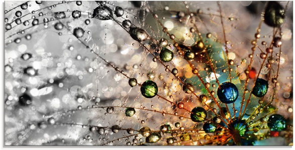 Artland Glasbild »Farbenfrohe Natur«
