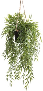 Emerald, Emerald Kunstpflanze Bambus Hängend in Topf 50 cm, Botanic-Haus Künstliche Zimmerpflanze »Bambus-Hängeampel«