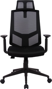 INOSIGN, INOSIGN Chefsessel »Netti«, Netzstoff, INOSIGN Chefsessel »Netti, Schreibtischstuhl, hochwertige ergonomische Ausstattung«, Netzstoff, Kopfstütze, Armlehnen & Rückenlehne verstellbar