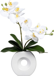 Creativ green, Creativ green Kunstorchidee »Phalaenopsis« (1 Stück), Creativ green Kunstorchidee »Phalaenopsis«, in Keramikvase