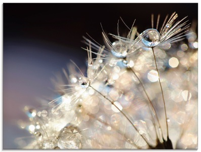 Artland Glasbild »Pusteblume Fantasie«