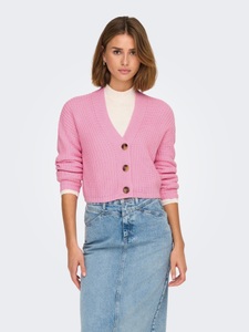 ONLY, ONLY Strickjacke »ONLCAROL NICE L/S CARDIGAN KNT NOOS«