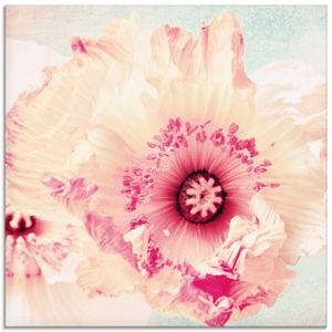 Artland, Artland Glasbild »Pastell Mohn«, Artland Glasbild »Pastell Mohn«, Blumen, (1 St.), in verschiedenen Grössen