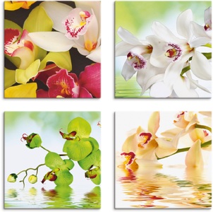 Artland, Artland Leinwandbild »Orchideen Blumen«, Artland Leinwandbild »Orchideen Blumen«, Blumen, (4 St.), 4er Set, verschiedene Grössen