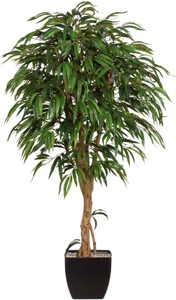 Creativ green, Creativ green Kunstpflanze »Weeping-Ficus«, (2 St.), Creativ green Kunstpflanze »Weeping-Ficus«