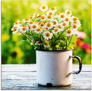 Artland Glasbild »Frühlingsgarten mit Gänseblümchen«