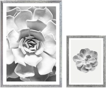 Komar, Komar Bild mit Rahmen »Succulent Aeonium«, (2 St.), Hochwertigen Echtholzrahmen. FSC zertifiziert, was eine nachhaltige Forstwirtschaft garantiert., Komar Bild mit Rahmen »Succulent Aeonium«, (2 St.), maschinell