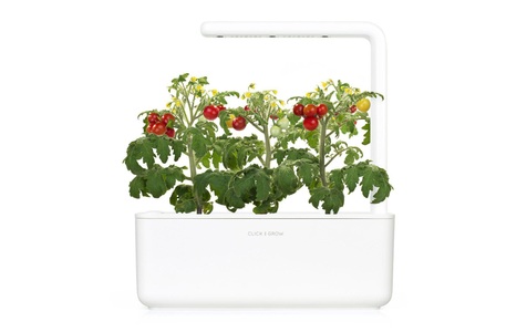 Click and Grow, Click and Grow Click and Grow, Click and Grow Kräutertopf »Smart Garden 3 Weiss«